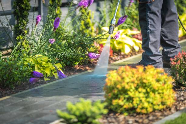 Trusted Sparta, IL Pressure Washing Services Experts