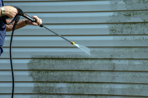 Best Window and Screen Pressure Cleaning in Sparta, IL